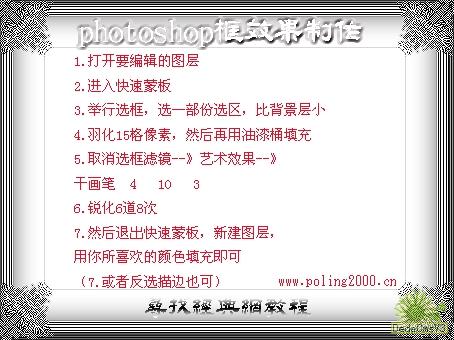查看更多精彩图片
